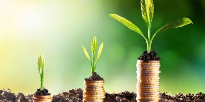 coins-growing-in-soil-economic-growth